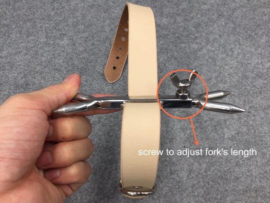 Stainless Steel Heretics Fork Forced Posture Collar