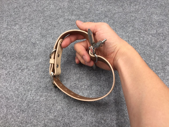 Stainless Steel Heretics Fork Forced Posture Collar