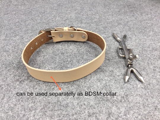Stainless Steel Heretics Fork Forced Posture Collar