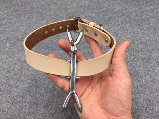 Stainless Steel Heretics Fork Forced Posture Collar
