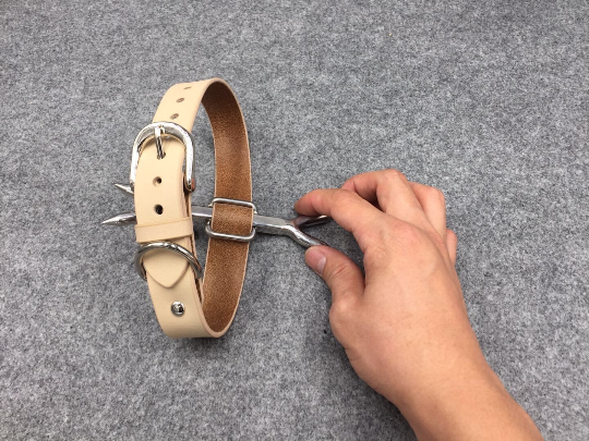 Stainless Steel Heretics Fork Forced Posture Collar