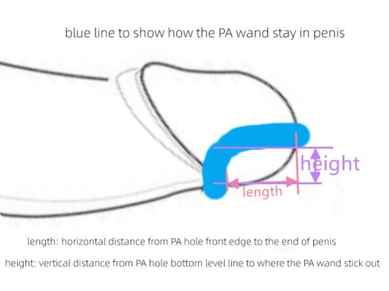 Custom L Shape PA Wand with Urethra Part Hollow