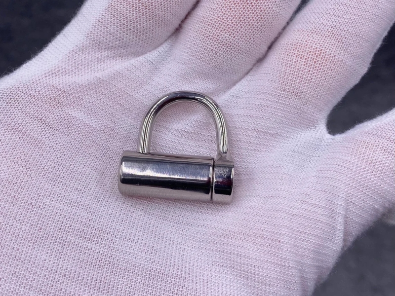 Stainless Steel/Titanium PA D Ring Lock,Piercing Padlock Locked By Screw