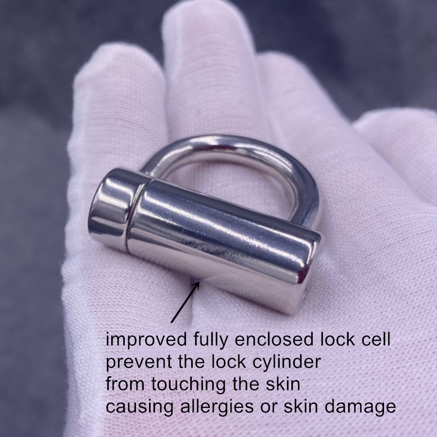 Custom Prince Albert D Ring PA Lock