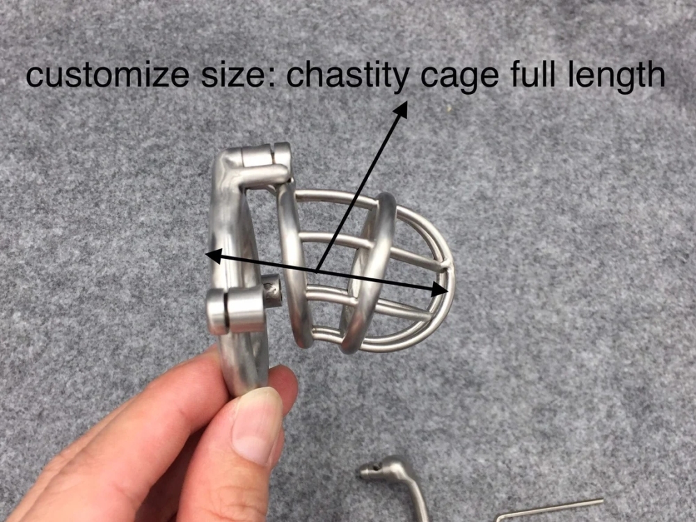 BA-02 Customize Chastity Cage Dual Lock System Stainless Steel/Titanium Cock Cage Locked With Permanent Lock Or Screw
