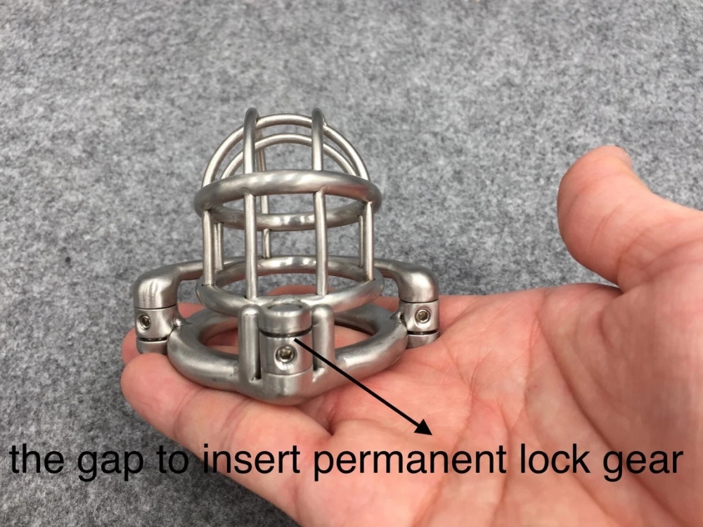 BA-02 Customize Chastity Cage Dual Lock System Stainless Steel/Titanium Cock Cage Locked With Permanent Lock Or Screw