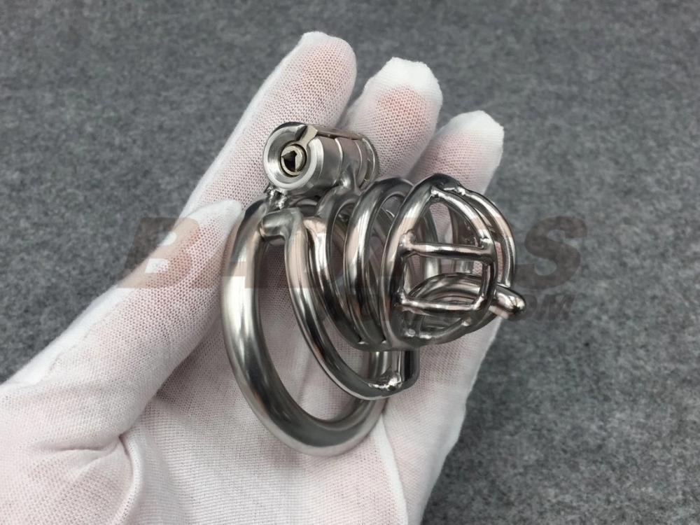 BA-22 Customizable Chastity Cage Stainless Steel/Titanium Cock Cage With Integrated PA hook and Scrotum Press Ring to Prevent Ball Escape