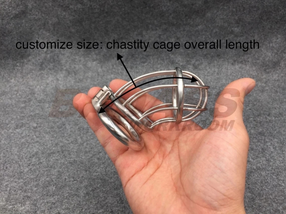 BA-01 Customize Chastity Cage Dual Lock System Stainless Steel/Titanium Cock Cage Locked With Permanent Lock Or Screw