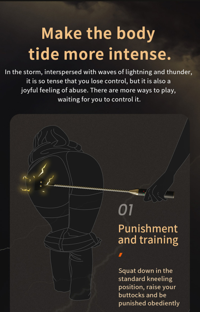 Electric Training Stick Whip Shock Rivet Slap