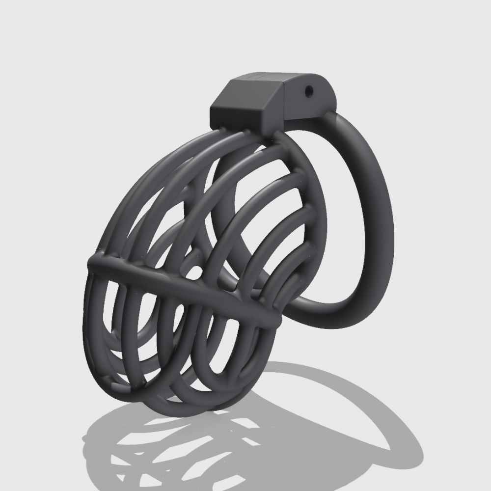 BR-01(100/42）