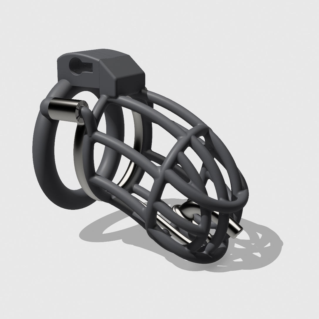 BRS-21P(80/38)