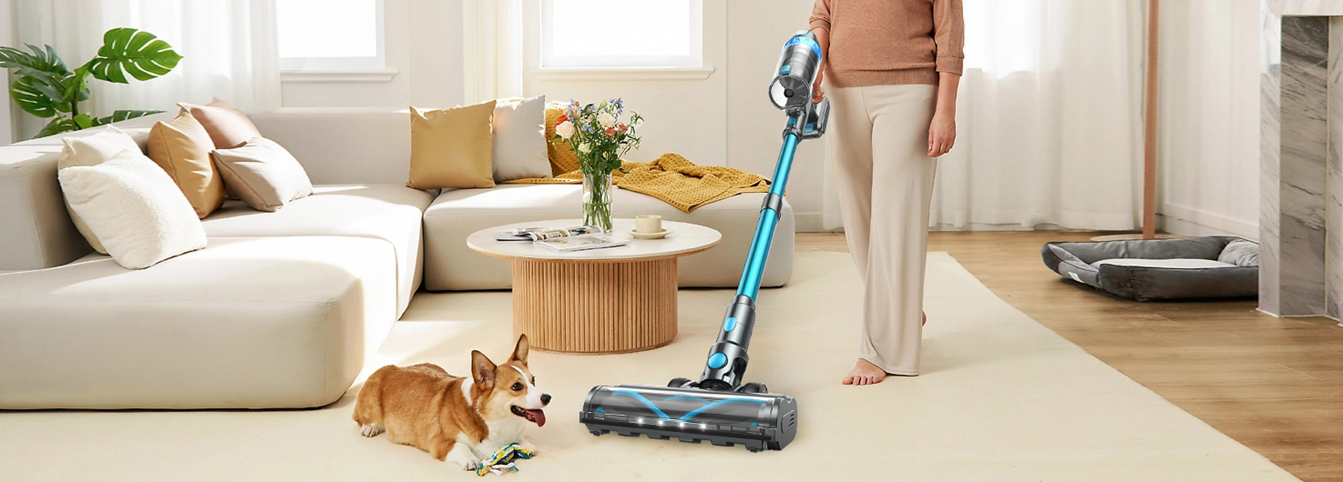 XL-636B Vacuum cleaner