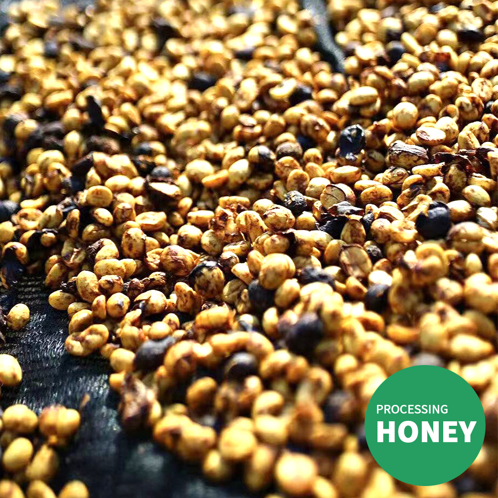 Raw bean customized honey processing