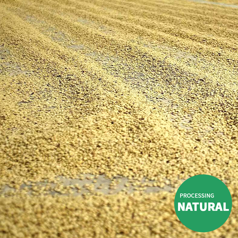 Raw bean customized natural processing