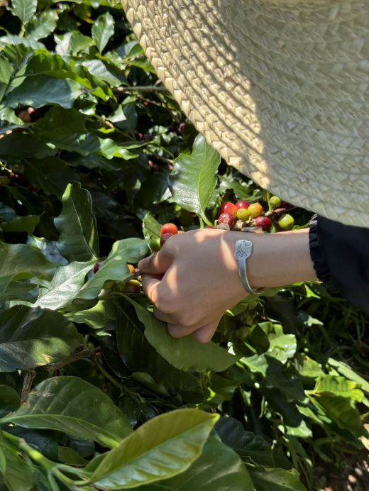 Coffee beans
