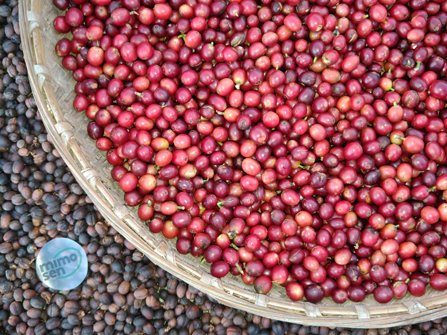 Coffee beans