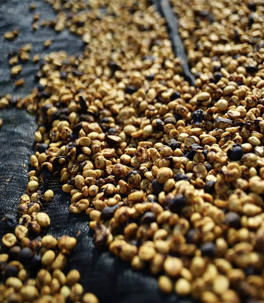 Coffee beans（Boutique pre-order）