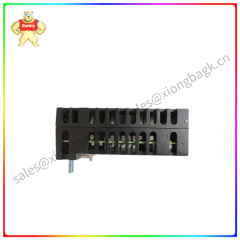 IS220PRTDH1B GE Discrete input module