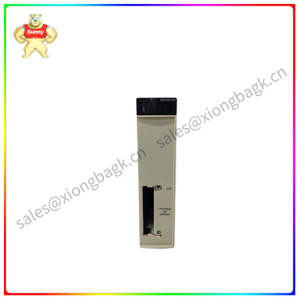 TSXPBY100 Schneider  Module suite