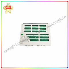 1C31169G02 EMERSON Output (I/O) module