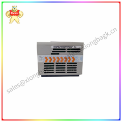 1C31125G02  Emerson  digital output module