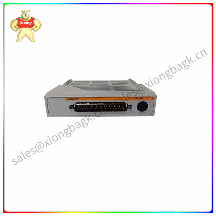 1C31125G02  Emerson  digital output module