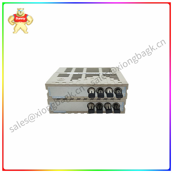 1C31181G01 Emerson Programmable module
