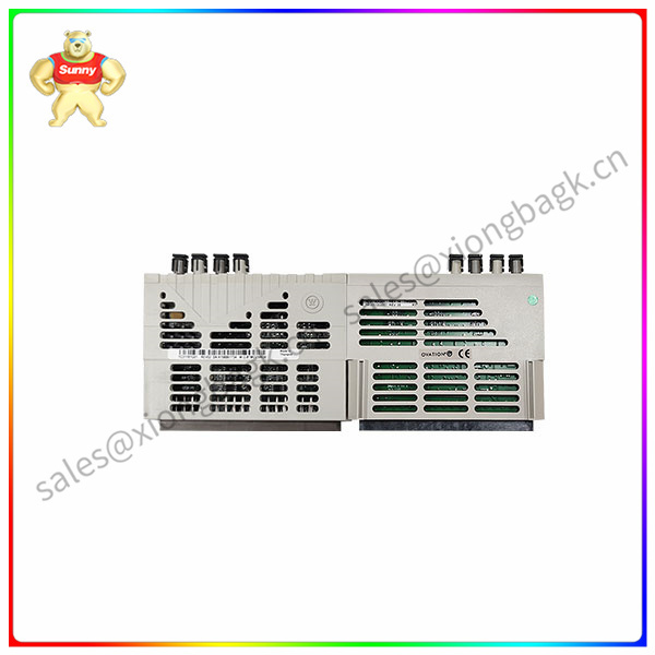 1C31181G01 Emerson Programmable module