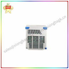 5X00226G02 Emerson   Fieldbus interface module