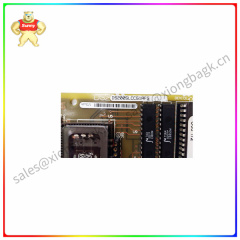 DS200SLCCG1AFG  Input/output module