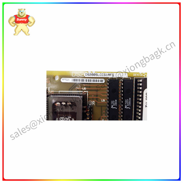 DS200SLCCG1AFG  Input/output module