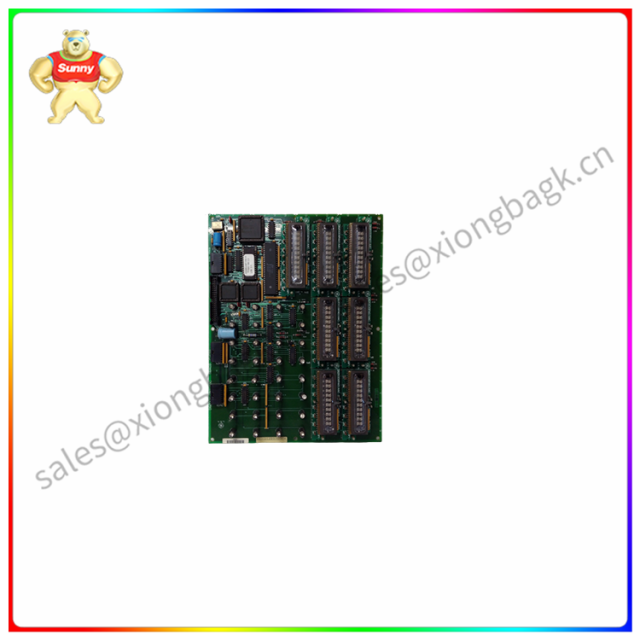 DS215KLDBG1AZZ03A DS200KLDBG1ABC Redundant module