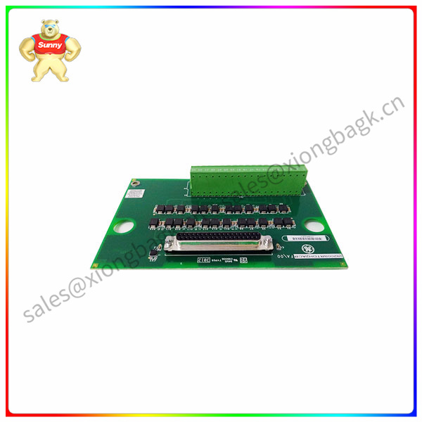 IS200SRTDH2ACB Analog input module