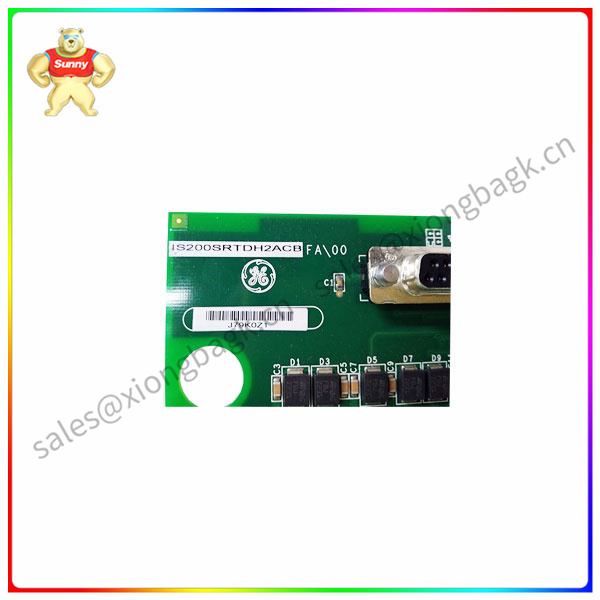 IS200SRTDH2ACB Analog input module