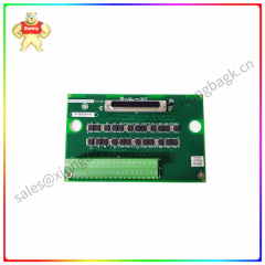 IS200SRTDH2ACB Analog input module