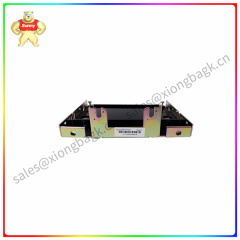 IS230SRTDH2A  Redundant module