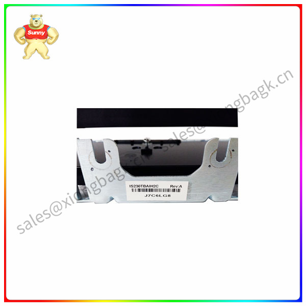 IS230TBAIH2C  analog module