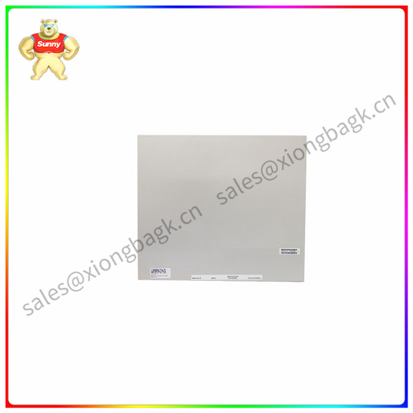 P0904AK Control processor module