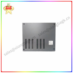 P0904AK Control processor module