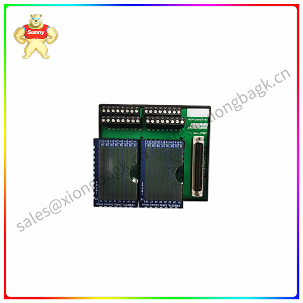 P0916XT industrial control module
