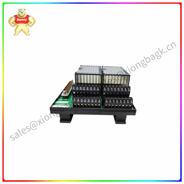 P0916XT industrial control module