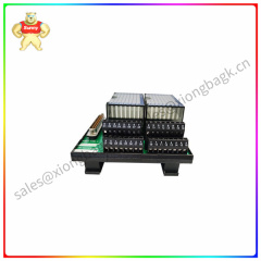 P0916XT industrial control module