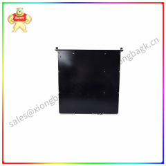3604E  PLC (Programmable Logic Controller) module