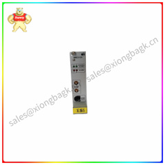 MMS6120-9100-00002-10   Dual channel bearing vibration measurement module