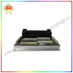 2101   Processor module  Multiple programming languages and development tools are supported