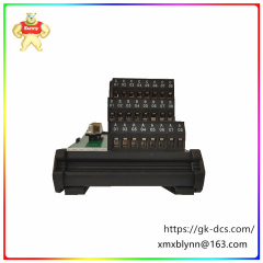 P0916AA   control module  Has multiple input and output channels