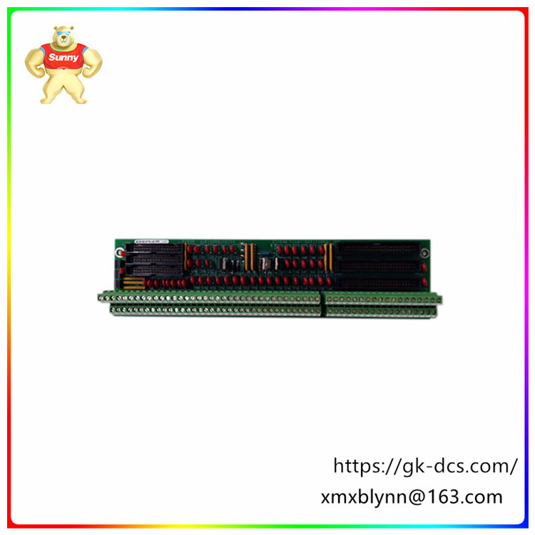 DS200TBQDG1AFF  Industrial automation module  Provides multiple input and output channels
