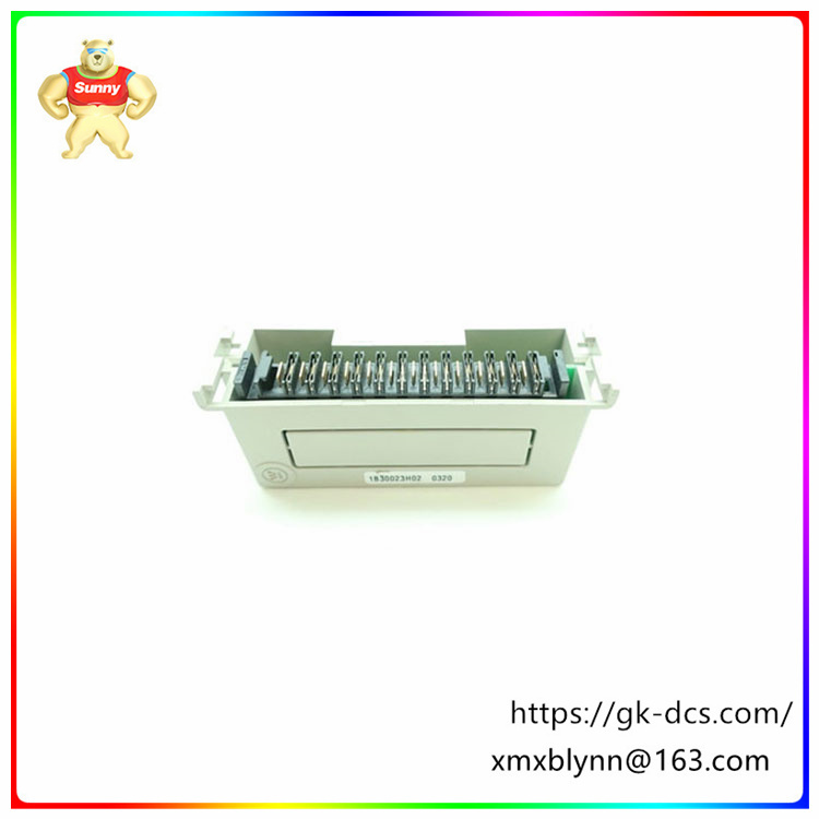 1B30023H02    PLC Module    LED indication for power and bus status
