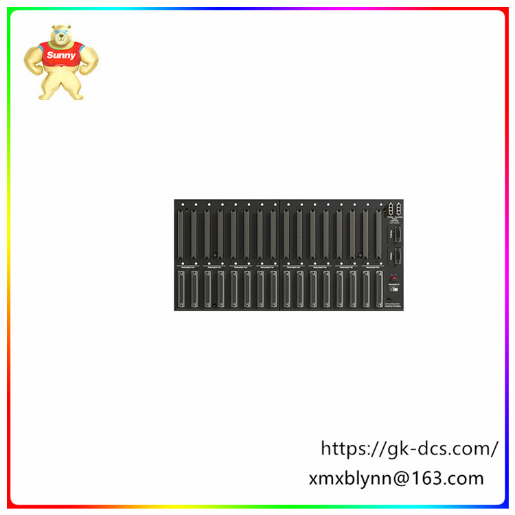 RH916RB | highly flexible and powerful input module | Multiple input types are available