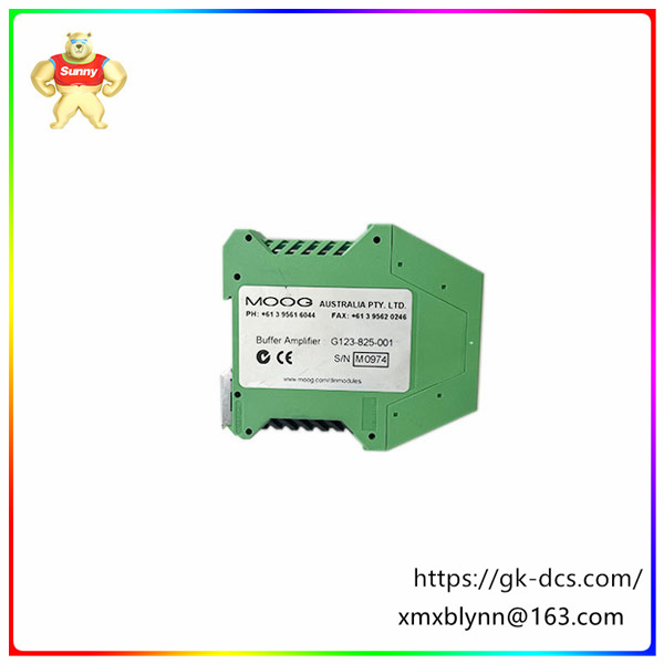 G123-815V001  | Servo amplifier | With limited stream function